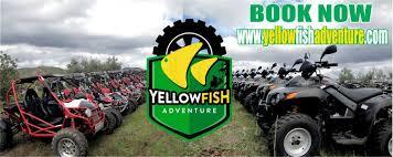 Yellowfish Adventure